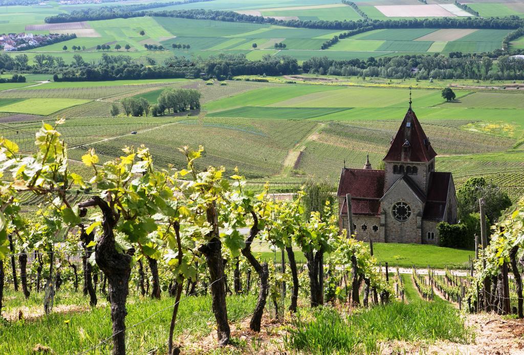 Hofgut Wissberg - Das Weinberghotel Sankt Johann  Exterior foto
